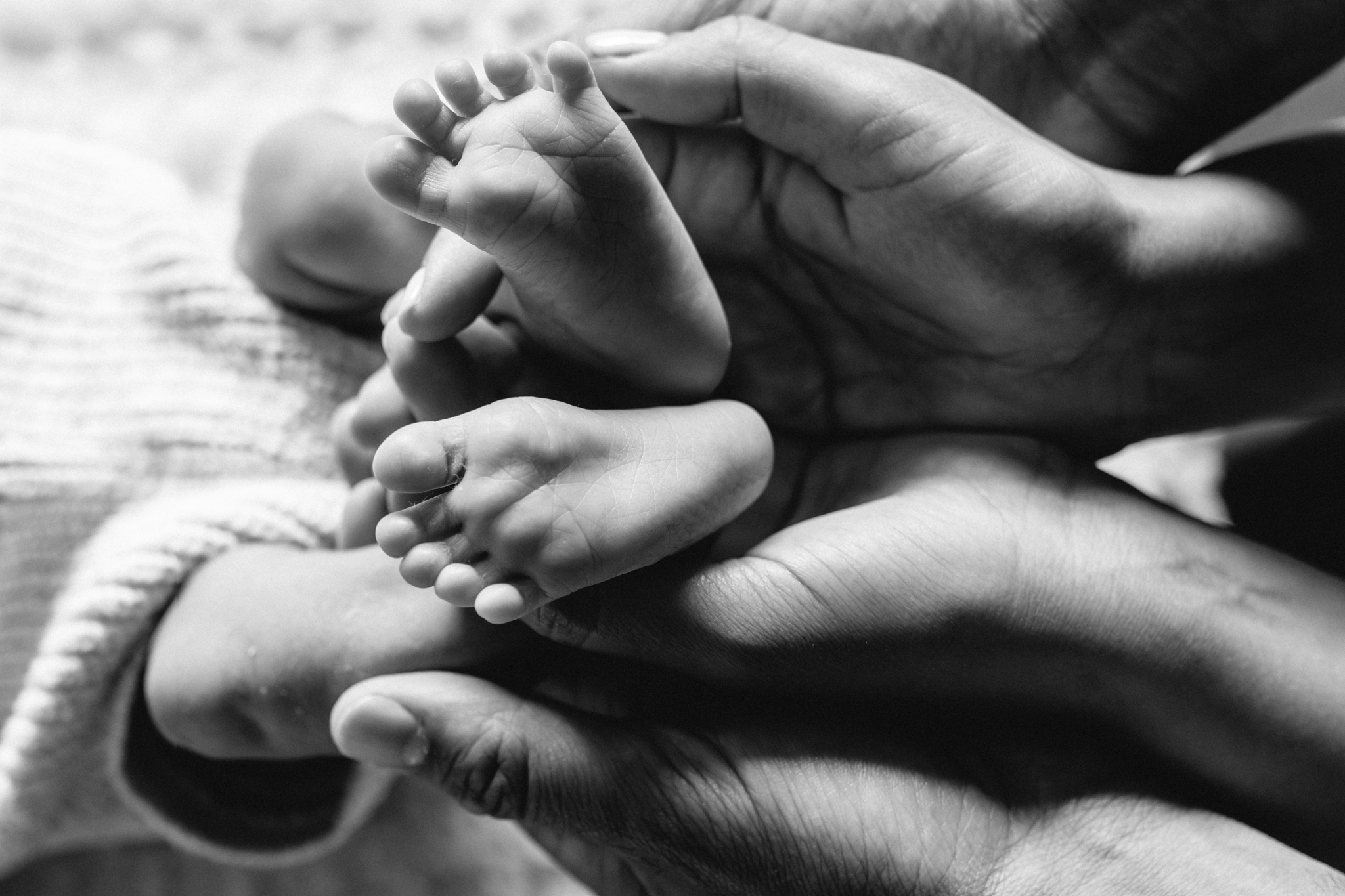 Parents holding their newborn baby's feet in their hands, black and white photo